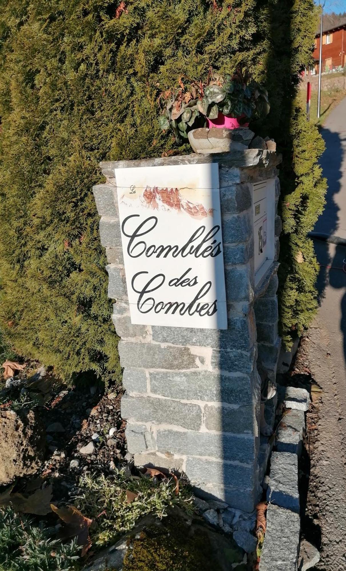 Les Combles Des Combes Ollon Exterior foto